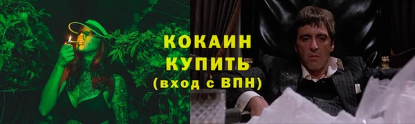 прущие крисы Арсеньев