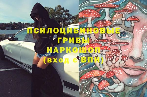 прущие крисы Арсеньев