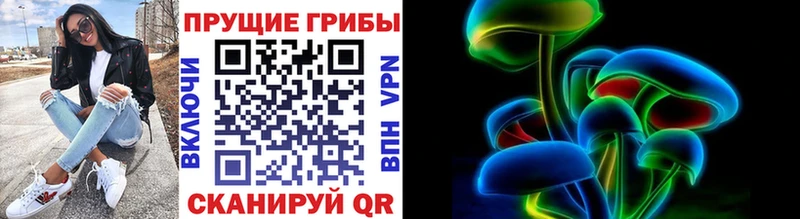 Псилоцибиновые грибы Cubensis  Купить где  Севск 